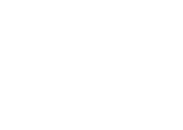 Monetization Strategies logo